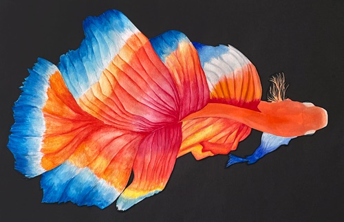 AP Studio : Addie Kenney AP Studio : Addie Kenney