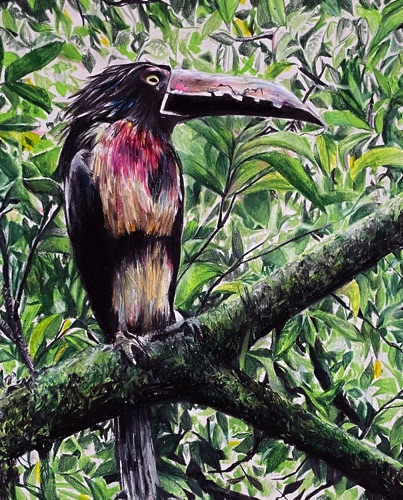 Portfolio Development II : Maya_Rosko Portfolio Development II : Maya_Rosko