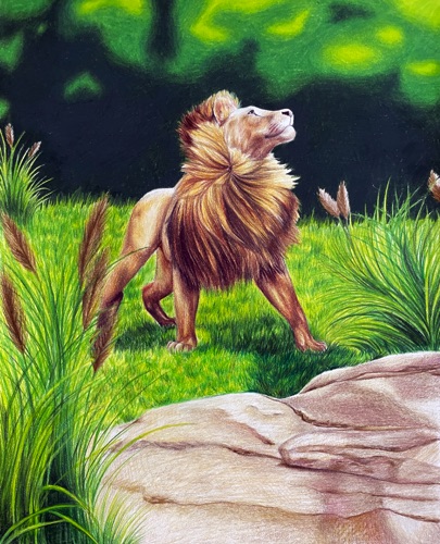 Portfolio Development II : Olivia Zimmerman Portfolio Development II : Olivia Zimmerman