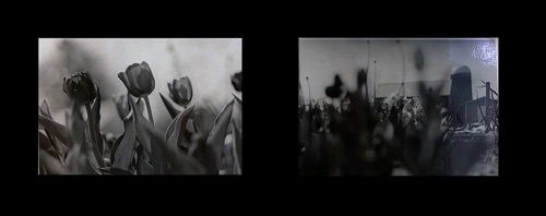 Darkroom Photography : Brian Kuhl Darkroom Photography : Brian Kuhl