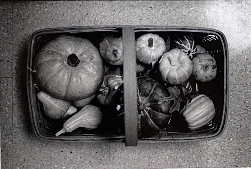 Darkroom Photography : Ethan Pone Darkroom Photography : Ethan Pone