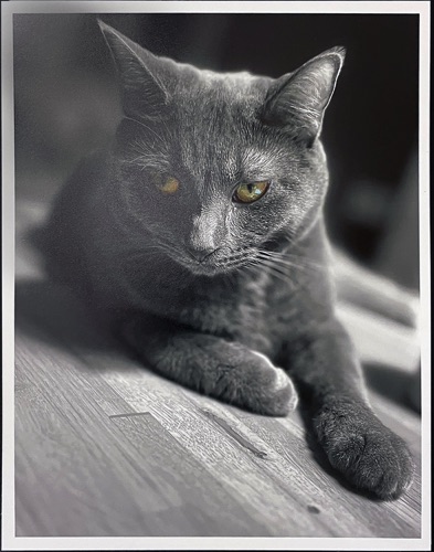 Digital Photography : Tallan Ronk Digital Photography : Tallan Ronk