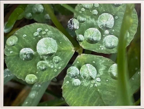 Digital Photography : Teagan Tripp Digital Photography : Teagan Tripp