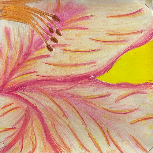 Foundations : Madelyn Lawson